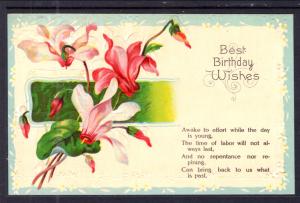 Best Birthday Wishes,Flowers