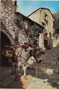 BF13658 dans un vieux village donkey anne france  front/back image