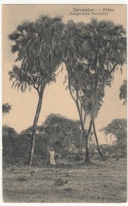 Tanzania; Daressalam - Palms, Tanganyika Territory PPC By C Fernandes, Unposted 