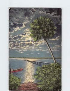 Postcard Moonlight on the River Florida USA