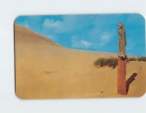 Postcard Where the sand and the sky meet sand dunes of West Michigan USA