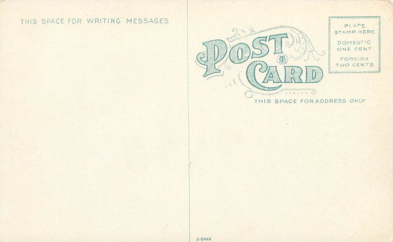 Mount Tacoma Washington Elk, Water Litho Postcard Unused