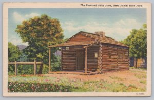 New Salem State Park Illinois~Restored Offut Store~Linen Vintage Postcard