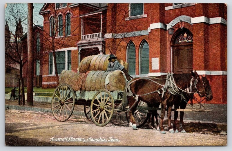 A Small Planter Memphis Tennessee TN Horse And Buggy Roadway View  Postcard