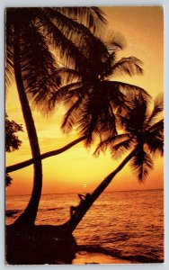 Hawaii~Figure Lounging On Palm Tree Over Ocean @ Sunset~Vintage Postcard