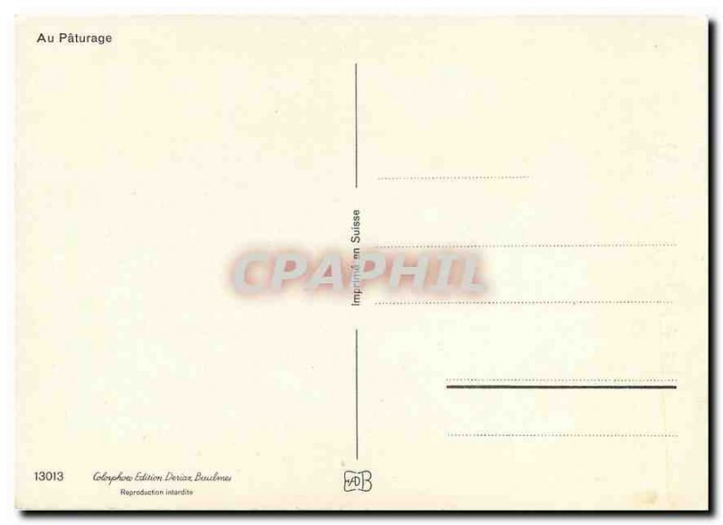 Modern Postcard the Cow Pasture