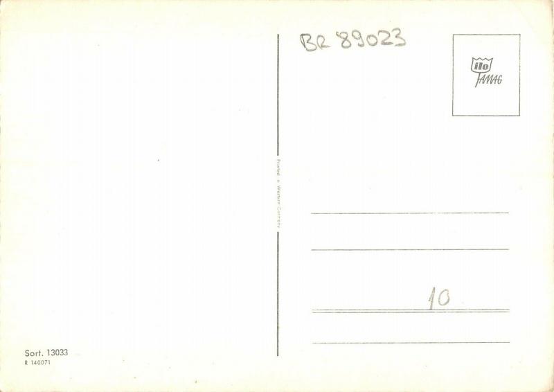 BR89023 tiger tigre   animal animaux