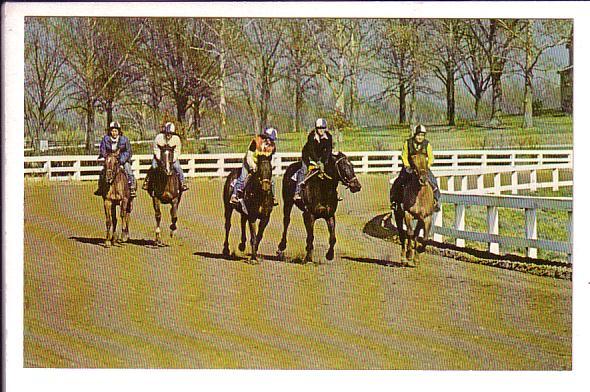 Kentucky Horse Park, Race Training