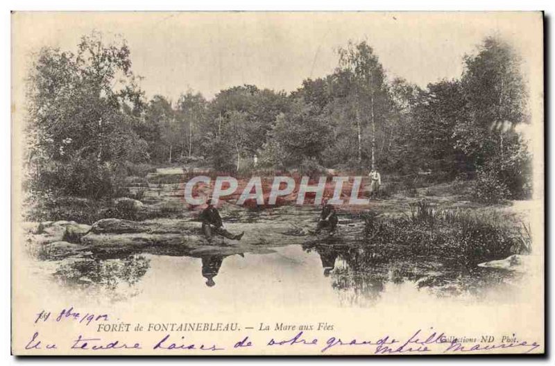 Old Postcard Forest of Fontainebleau La Mare aux Fees