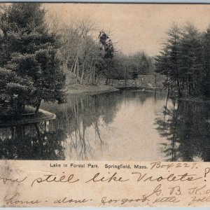 c1900s UDB Springfield, MA Forest Park Lake Excelsior Collotype Photo PC A196