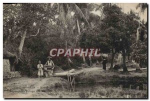 Old Postcard Hanoi Tonkin Landscape with pigs Village