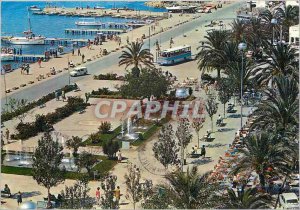 Postcard Modern San Antonio Ibiza Espana Parkway palmieres