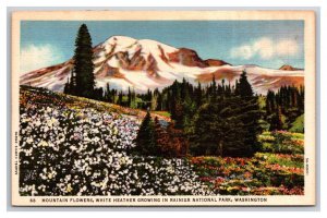 Mountain Flowers Mount Rainier National Park Washington UNP Linen Postcard N25