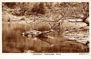Crocodile Murchison Falls, Uganda Writing on back 