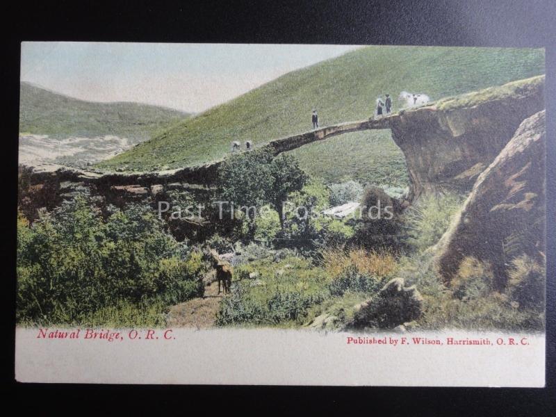 South Africa HARRISMITH O.R.C. NATURAL BRIDGE c1909 old Postcard by F. Wilson