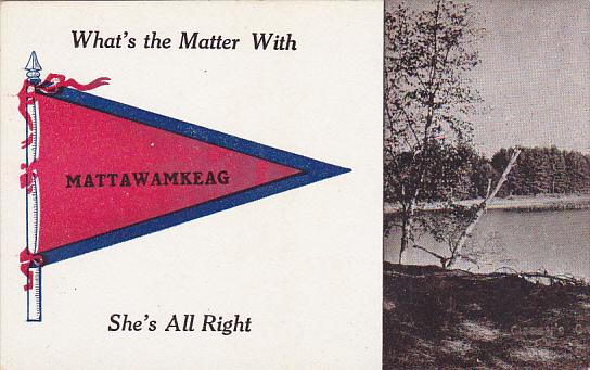 What's The Matter With Mattawamkeag Pennant Flag