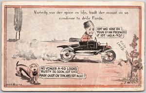 1916 Man Fast Ride Bird Chirping Dog Wonders Comic Vacation Card Posted Postcard