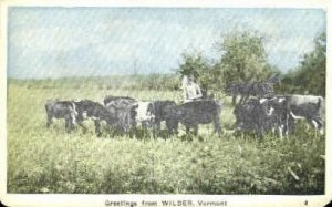 Cows - Wilder, Vermont VT  