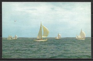 Rhode Island, Newport - Yacht Races - [RI-001]