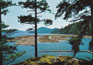 Canada Log Booming Grounds Vancouver Island British Columbia