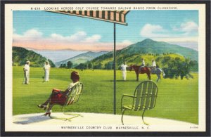 Waynesville NC Waynesville Country Club Horses on Golf Course Linen Postcard