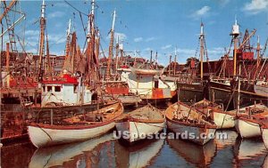 Fishing Boats in Port - Gloucester, Massachusetts MA  