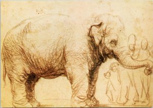 Elephant by Rembrandt Van Rijn Unused Postcard F20