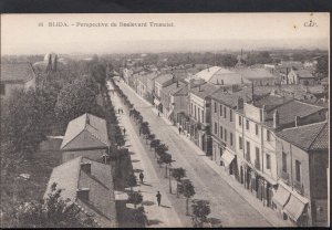 Algeria Postcard - Blida - Perspective Du Boulevard Trumelet   RT459