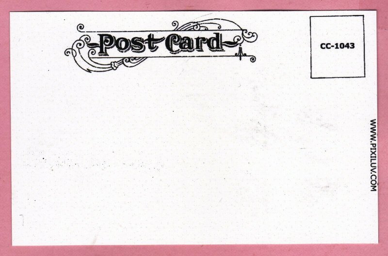 Contemporary Risque Pretty Lady @ Bull Fight Unsigned Reprinted Postcard - 349