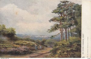 On Hayes Common, KENT, 1900-10s; TUCK 1532