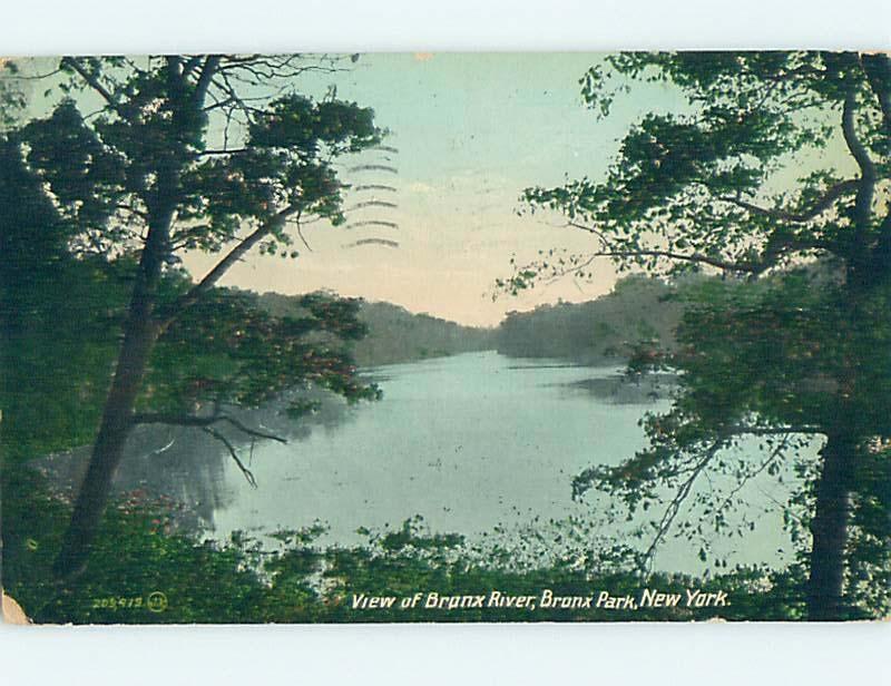 Divided-Back WATER SCENE Bronx Park - New York City NY hk3122