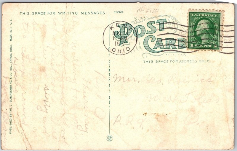 Akron City Ohio, 1917 Water Works Dam, Cascading Water Falls, Vintage Postcard