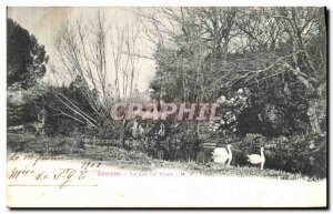 Old Postcard Beziers Le Lac Du Titan Swans
