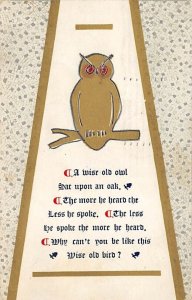 Wise Old Owl 1909 light postal marking on front