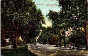 Illinois Chicago Lincoln Park Driveway 1908