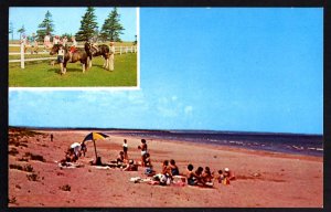 Canada PEI BRACKLEY BEACH GREGORS by-the-Sea Ponies, Surf Bathing - Chrome