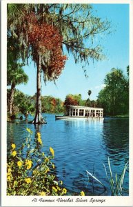 postcard FL - Silver Springs Glass Bottom Boat