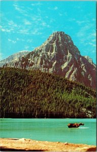 Mount Chephren Lake Louise Jasper Highway Mount Chephren Watrefowl Postcard VTG  