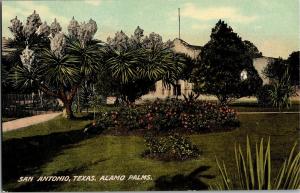 Alamo Plaza Palms San Antonio TX Vintage Postcard R07
