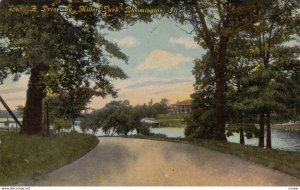 BLOOMINGTON , Illinois , 1911 ; Driveway , Miller Park