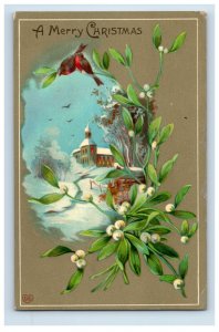 C.1910 Gel Birds Snow Drops Church Christmas Postcard F122E