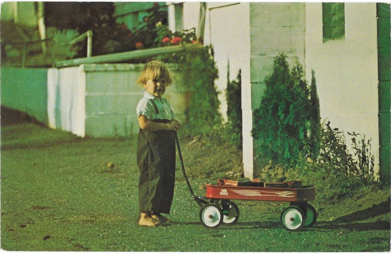 Little Amish Boy and His Red Wagon