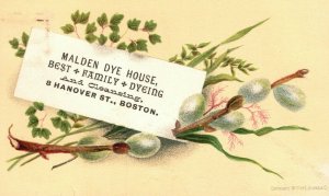 1880s-90s Malden Dye House Best Family Dyeing Cleaning Hanover St. Boston MA