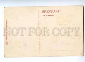 144718 DENMARK Parti fra RAADVAD Vintage postcard