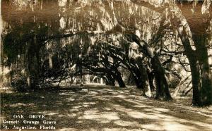 1907-1918 Real Photo Postcard Oak Drive, Garnett Orange Grove, St. Augustine FL