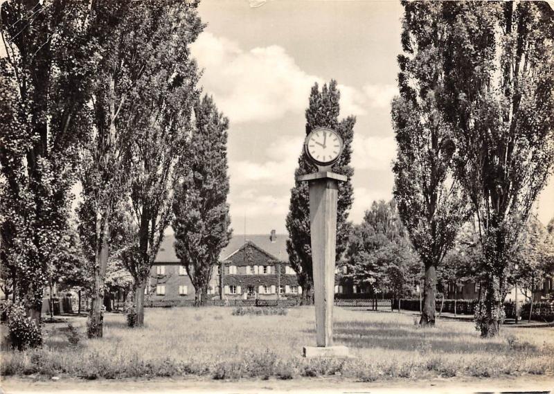 BG16942 zschornewitz kr grafenhainichen   germany CPSM 14.5x9cm