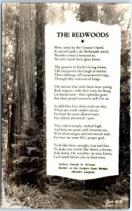 Postcard - The Redwoods - California