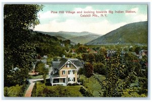 1908 Pine Hill Village Big Indian Station Catskill Mountains New York Postcard