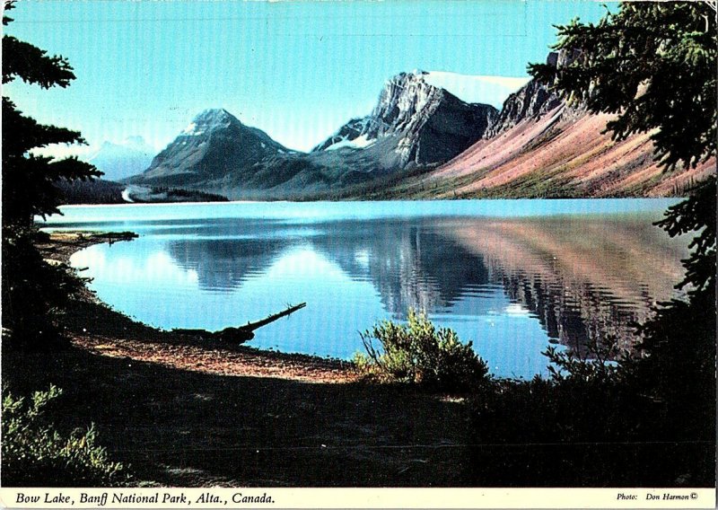 Bow Lake Banff National Park Alberta Canada Postcard Continental View Card 