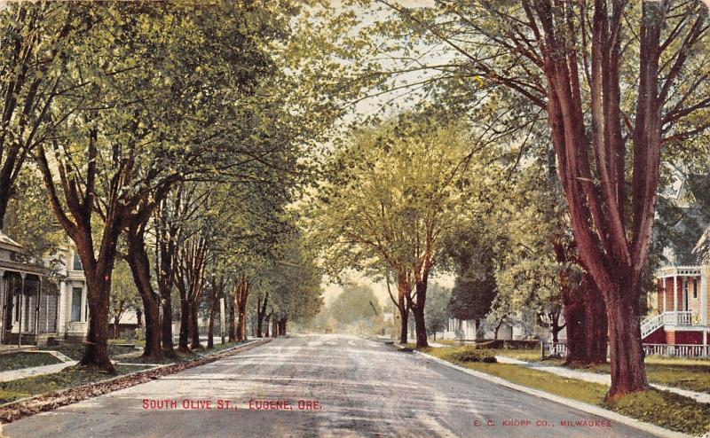 Eugene Oregon~South Olive Street Homes~Shade Tree Lined Road~1912 Postcard 